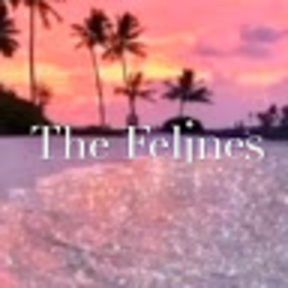 Meet your Posher, The